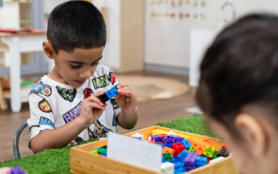 Encouraging a Growth Mindset in Early Learners