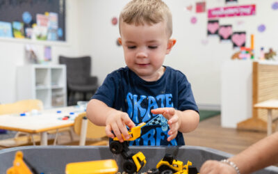 How to Choose the Best Early Learning Centre for Your Newborn in Gregory Hills